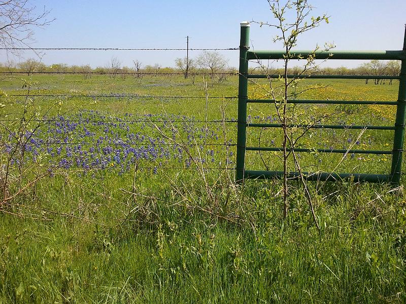 2013-04-14 11.33.39.jpg